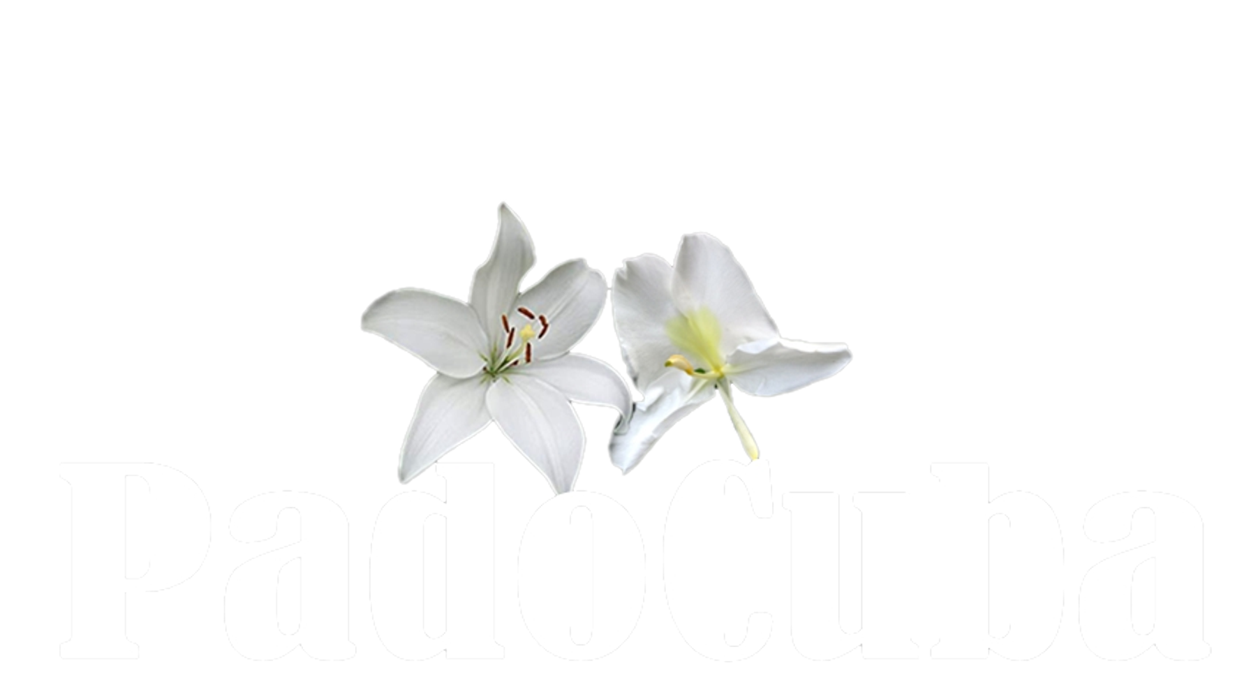 Padocuba